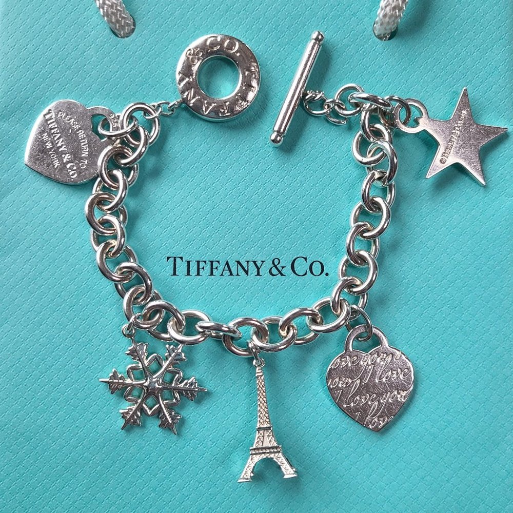 Tiffany's & Co Toggle Charm Bracelet